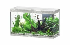 Aquarium poisson Splendid 100 LED 2.0 et Biobox - Aquatlantis
