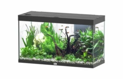 Aquarium poisson Splendid 100 LED 2.0 et Biobox - Aquatlantis