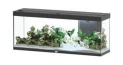 Aquarium poisson Splendid 150 LED 2.0 et BioBox - Aquatlantis
