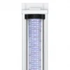 Aquarium poisson Splendid 200 LED 2.0 et BioBox - Aquatlantis