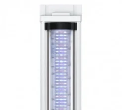 Aquarium poisson Splendid 200 LED 2.0 et BioBox - Aquatlantis