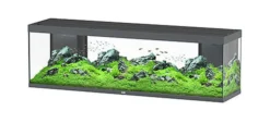 Aquarium poisson Splendid 200 LED 2.0 et BioBox - Aquatlantis