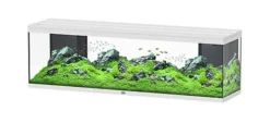 Aquarium poisson Splendid 200 LED 2.0 et BioBox - Aquatlantis