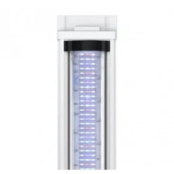 Aquarium poisson Splendid 200 noir LED 2.0 et BioBox avec meuble - Aquatlantis