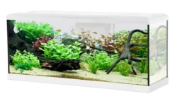 Aquarium poisson Tana LED 100cm blanc - Zolux