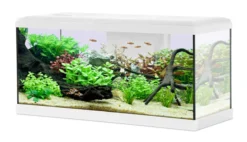 Aquarium poisson Tana LED 80cm blanc - Zolux
