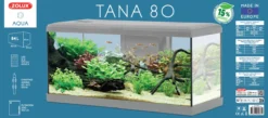 Aquarium poisson Tana LED 80cm gris - Zolux