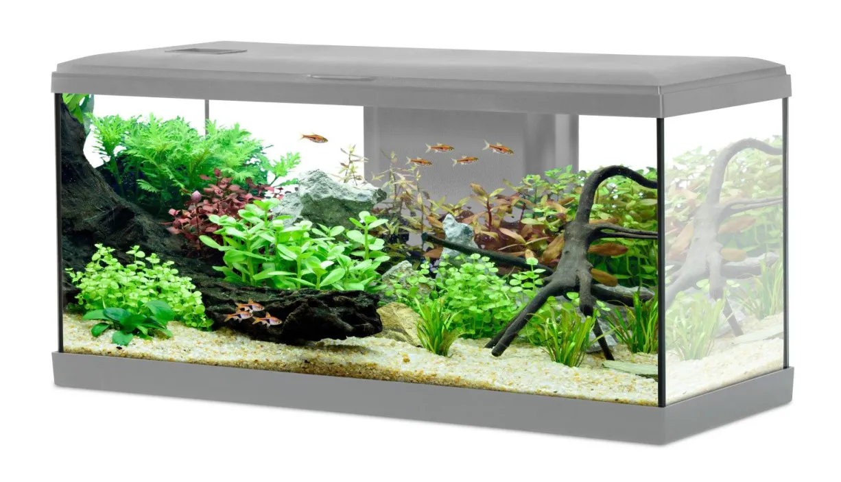 Aquarium poisson Tana LED 80cm gris - Zolux