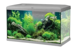 Aquarium poisson Tana LED 60cm gris - Zolux