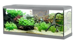 Aquarium poisson Tana LED 100cm gris - Zolux