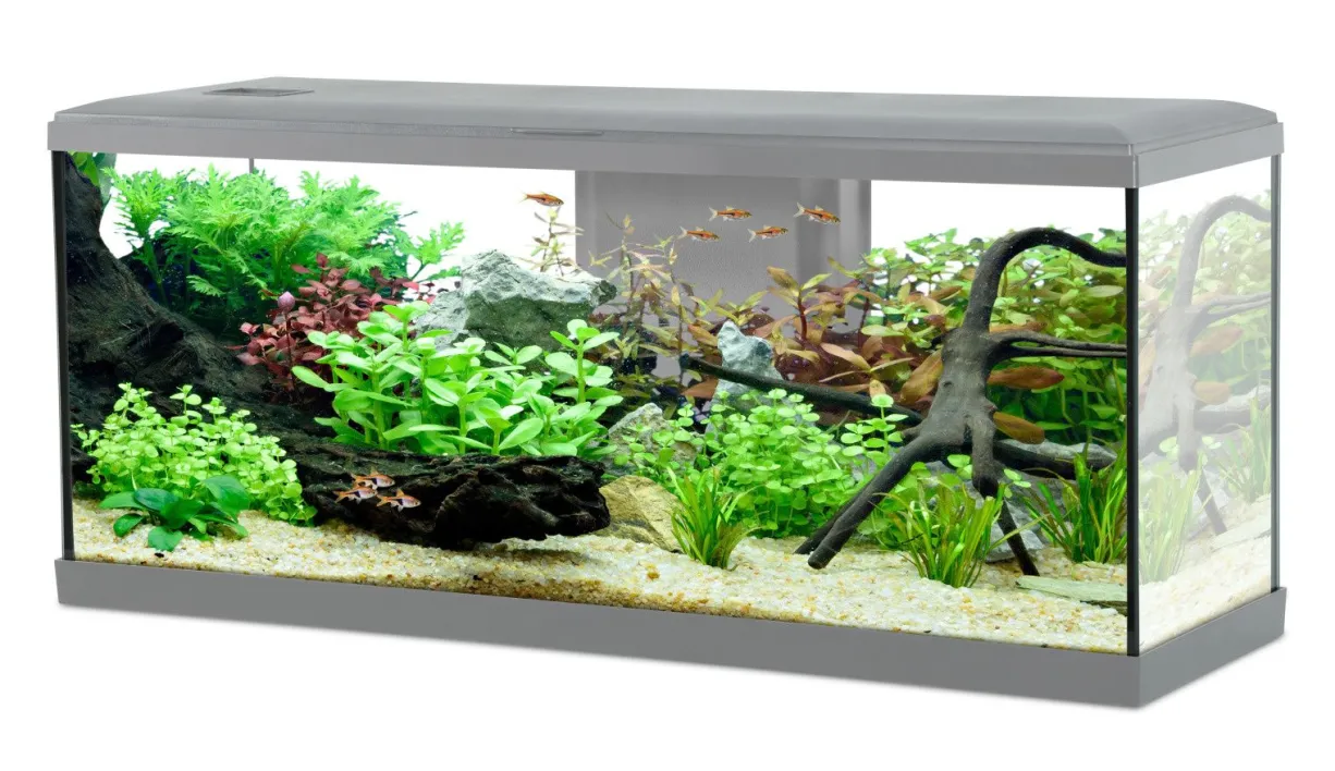 Aquarium poisson Tana LED 100cm gris - Zolux