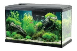 Aquarium poisson Tana LED 60cm noir - Zolux