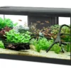 Aquarium poisson Tana LED 80cm noir - Zolux