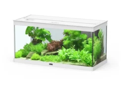 Aquarium Style LED 80 2.0 blanc - Aquatlantis
