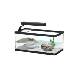 Aquarium tortue Aqua Tortum 40 noir sans filtre - Aquatlantis