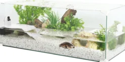 Aquarium tortue Karapas Aqua 80 Pro blanc - Zolux