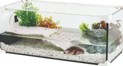 Aquarium tortue Karapas Aqua 50 Pro blanc - Zolux