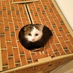 Arbre à chat en carton triplex New-Yorkais 60x39x89cm - WasaByCat