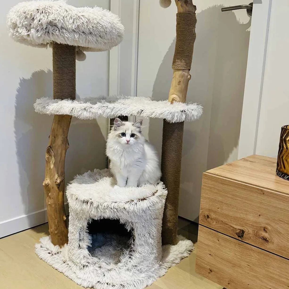 Arbre à chat Oslo Long Hair Pluche beige 122cm - Ebi