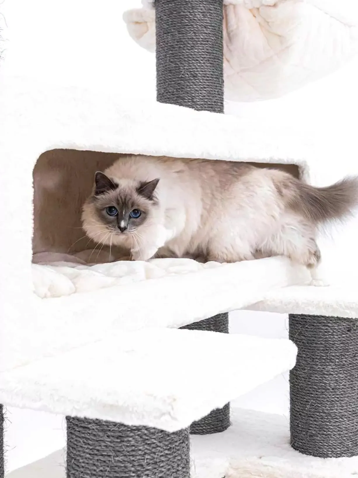 Arbre à chat sisal et fourrure Lookout 198 blanc - PetRebels