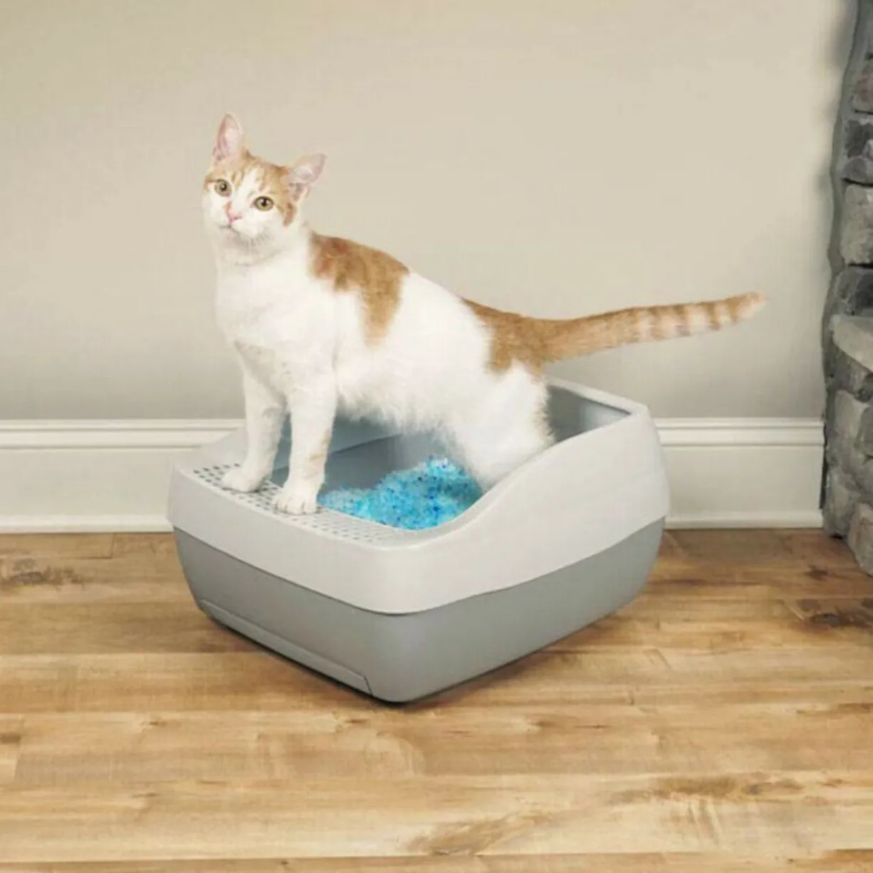 Bac à litière chat litière à cristaux Crystal Deluxe - PetSafe