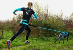 Baudrier Canyon ALM Bleu - I-Dog
