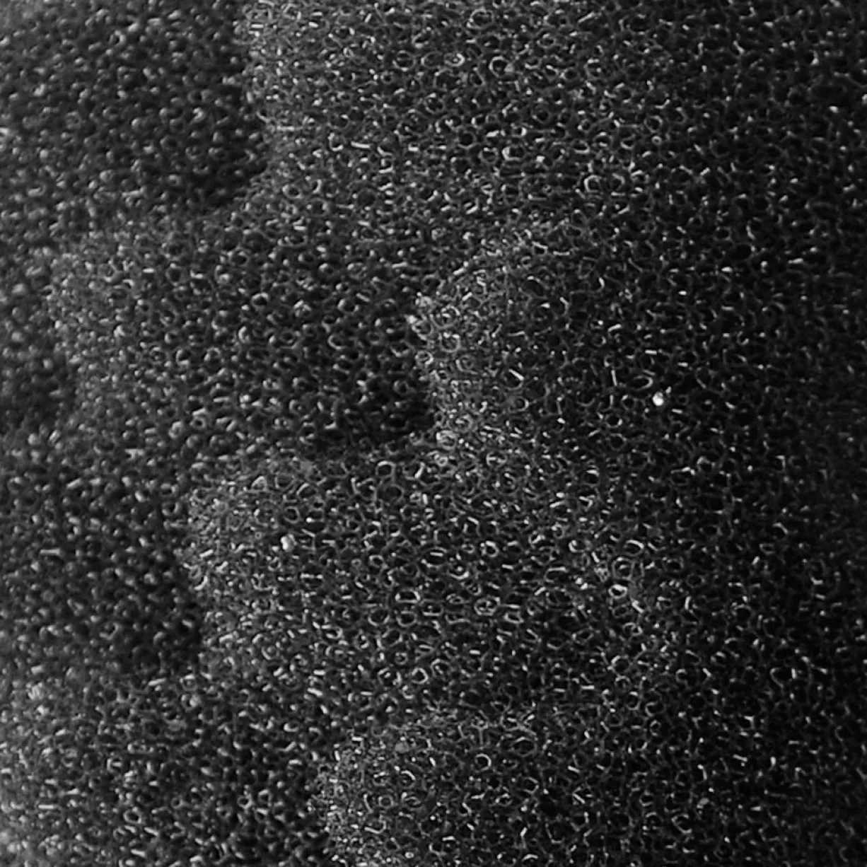 Bloc de mousse filtrante Bio-Foam+ pour filtres 306/307 et 406/407 par 2 - Fluval
