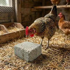 Bloc à picorer aux vers de farine poule 900g - Invers