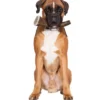 Bois de cerf naturel à mastiquer friandise chien plus de 20kg Hard - Zolux
