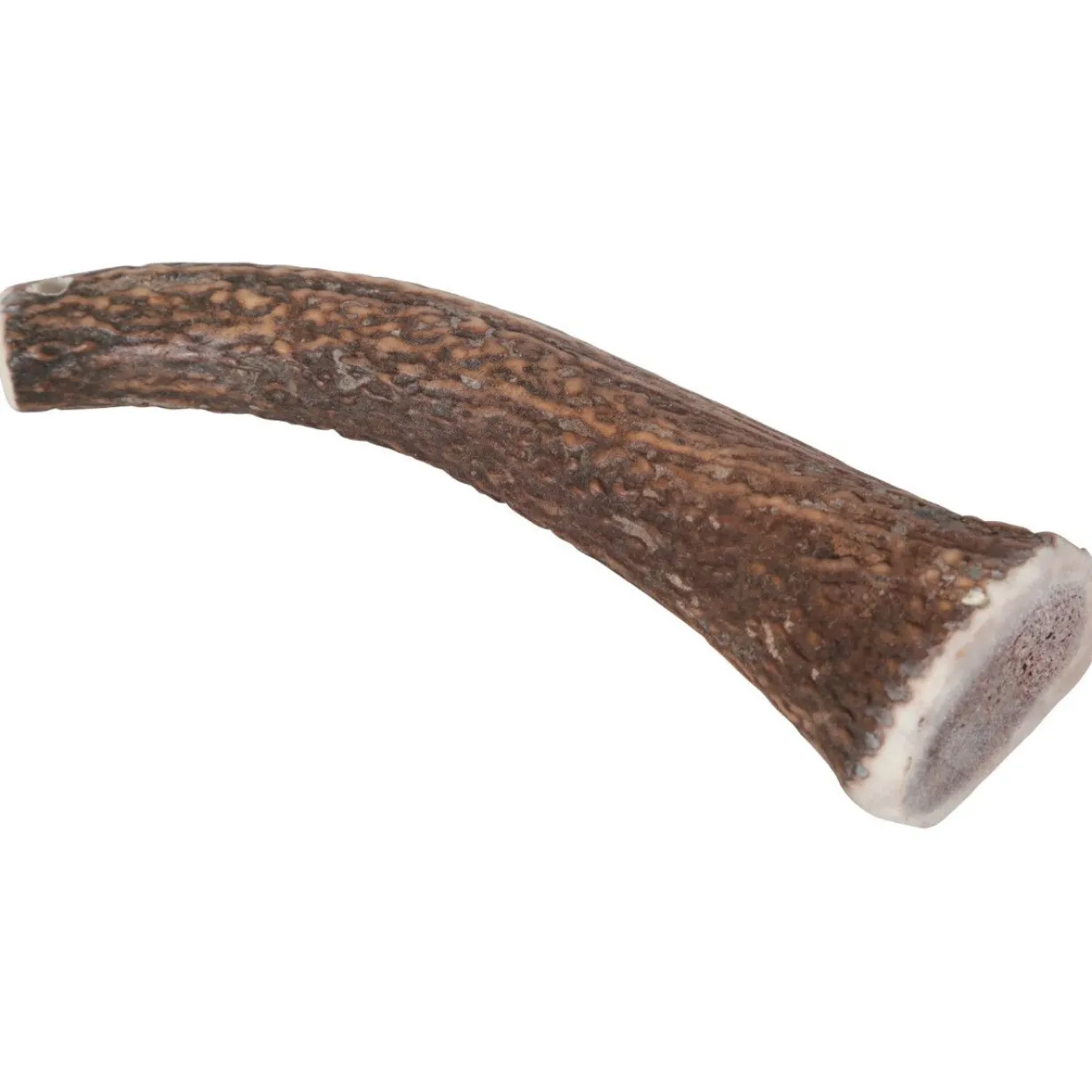 Bois de cerf naturel à mastiquer friandise chien plus de 20kg Hard - Zolux