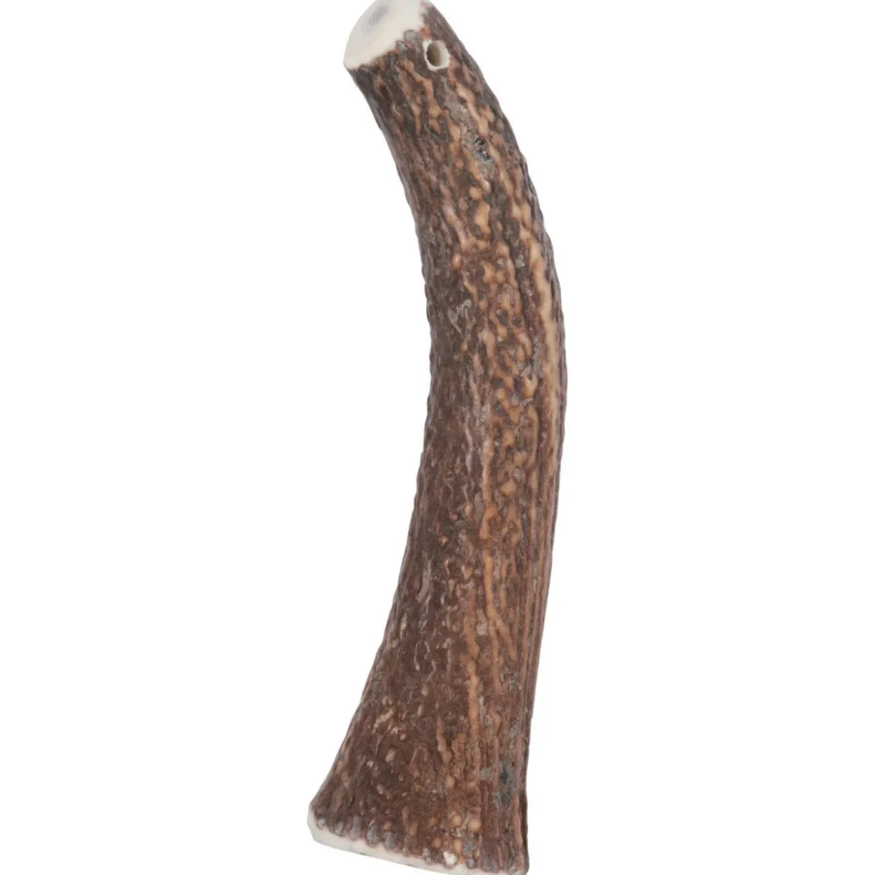 Bois de cerf naturel à mastiquer friandise chien plus de 20kg Hard - Zolux
