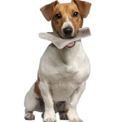 Bois de cerf naturel à mastiquer friandise chien moins de 10kg Easy - Zolux