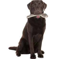 Bois de cerf naturel à mastiquer friandise chien moins de 20kg Easy - Zolux