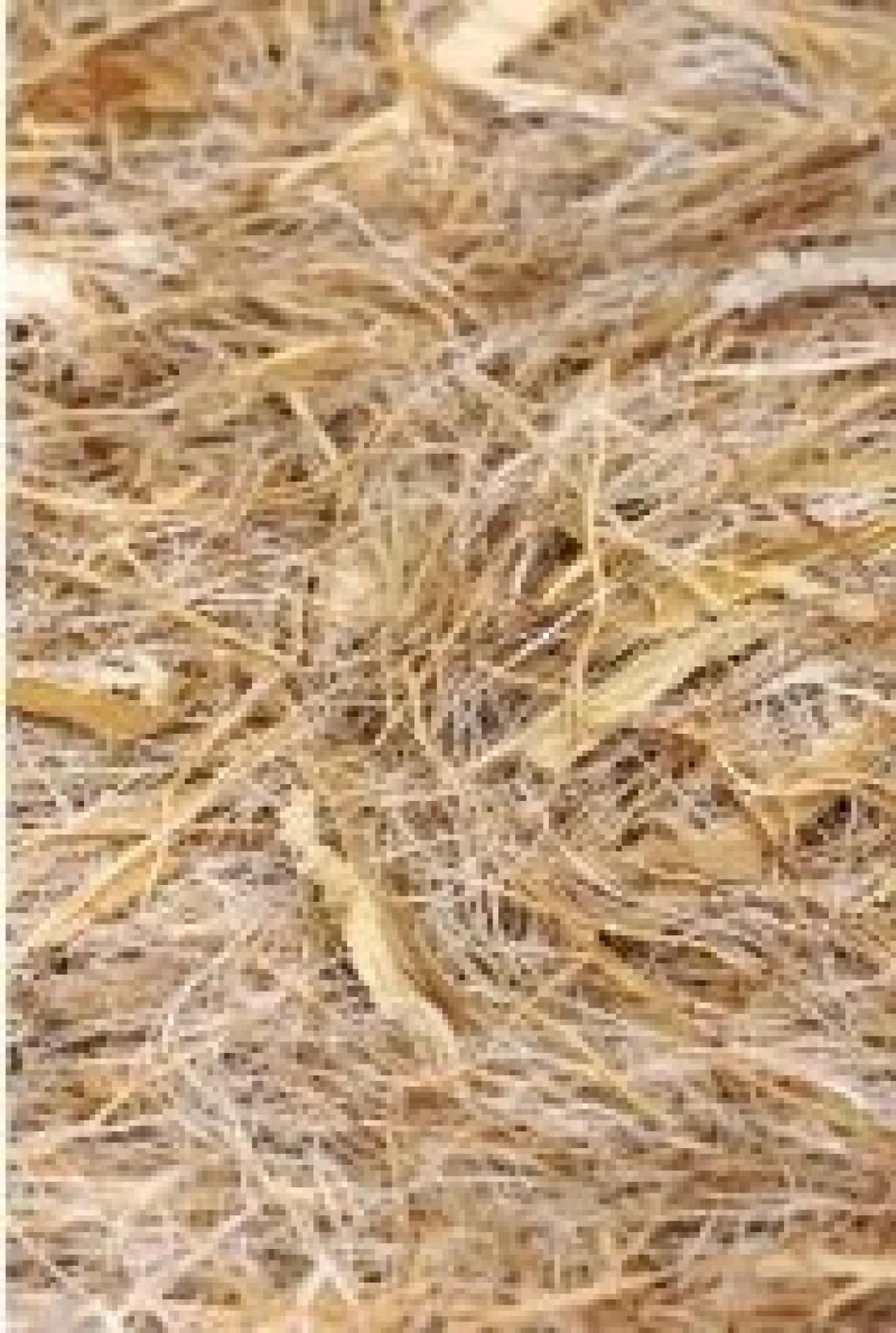 Bourre nid mix : coco, sisal, mais, bractée 0.5 Kg pour oiseaux 2GR