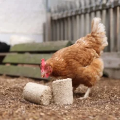 Briquettes de vannure d’épeautre poule x 24 - Kerbl