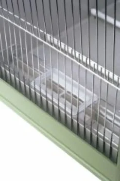 Cage de transport avec grille télescopique pour oiseaux 2GR