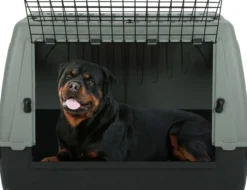 Cage de transport chien voiture plastique recyclé Travel taille L 100 x 60 x 65cm - Zolux