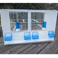 Cage d'élevage oiseaux 58cm parois plastique - 2GR