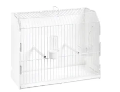 Cage exposition avec trou latéral