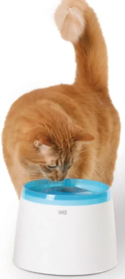 Catit Fontaine à eau pour Chat Compacte 2 Litres