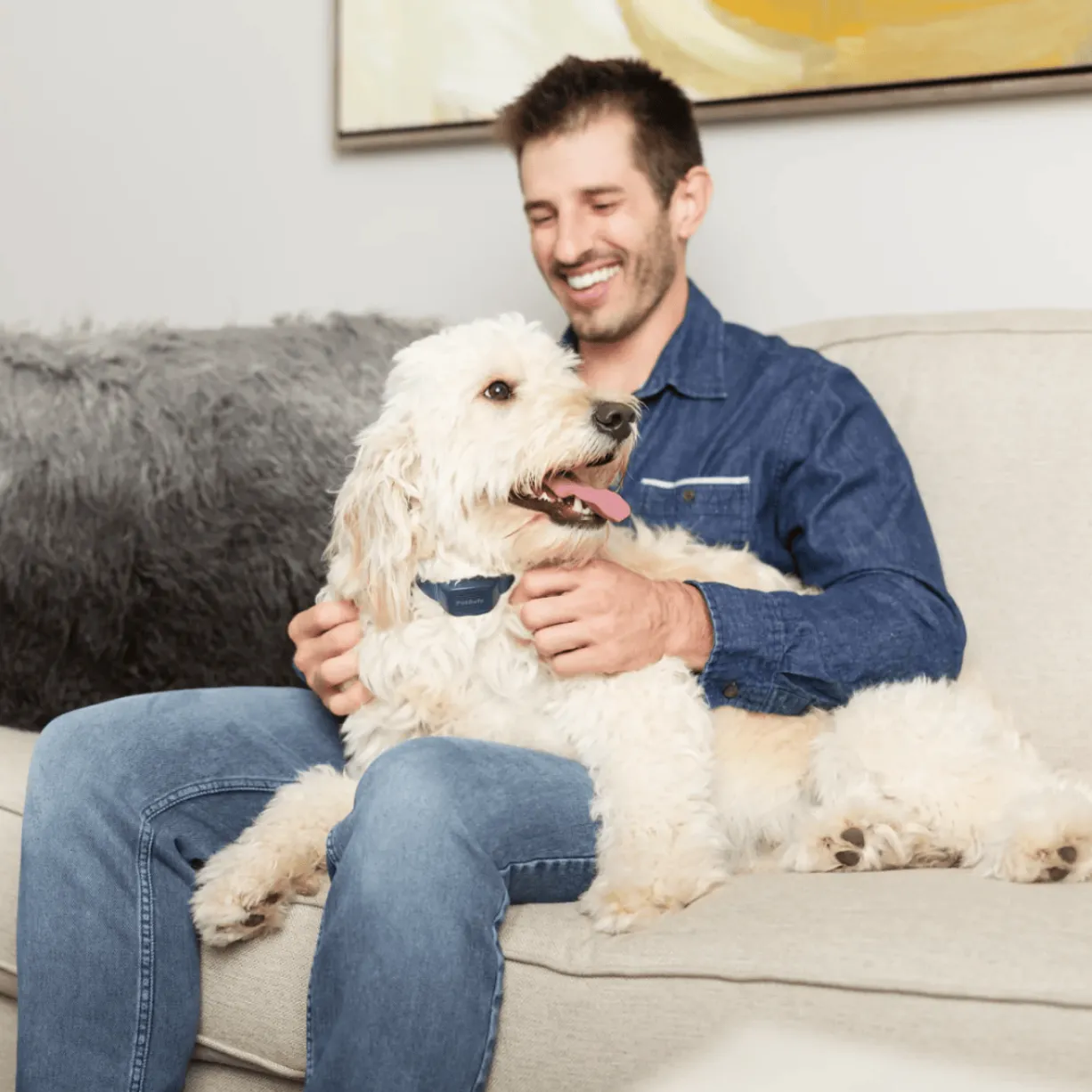 Collier anti-aboiement sonore-rechargeable - PetSafe