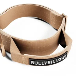 Collier chien avec poignée Lighter Combat Collar 4cm beige taille S - BullyBillows