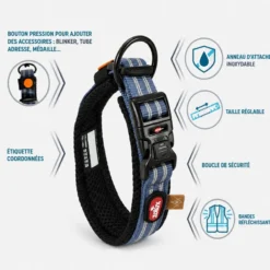 Collier chien Bivouak taille L bleu - Zolux