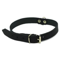 Collier Mexica noir 18 mm, 34 - 42 cm riveté