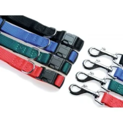 Collier nylon 40mm 50/80cm - Rouge