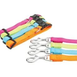 Collier nylon réglable 25mm - Anis