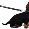 Collier pour chien Diamond noir, 14 mm / 29 - 33 cm