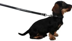Collier pour chien Diamond noir, 14 mm / 29 - 33 cm