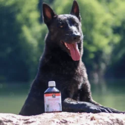 Complément alimentaire chien et chat Huile de saumon 500ML - Les recettes de Daniel