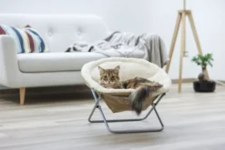 Couchette surélevée chat Alice - Kerbl